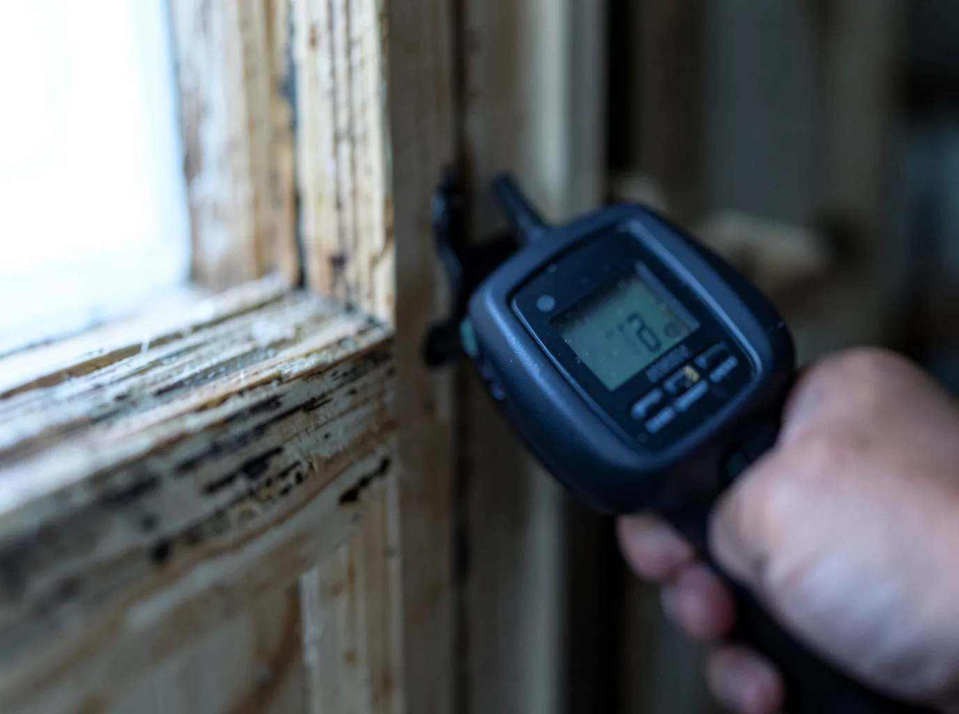 Moisture Inspection And Documentation in North Branford, CT